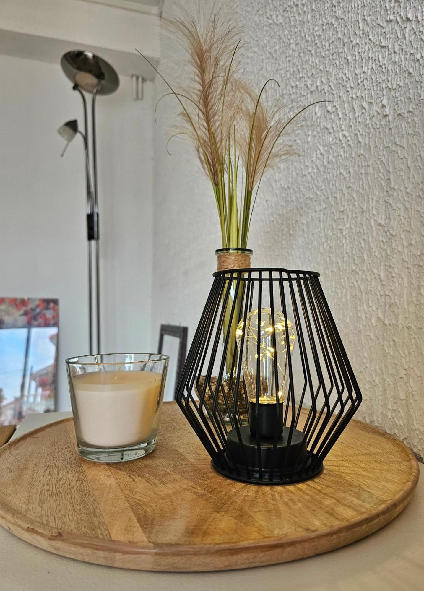 Appartement Lumineux Et Calme En Rez-De-Jardin Castanet-Tolosan エクステリア 写真