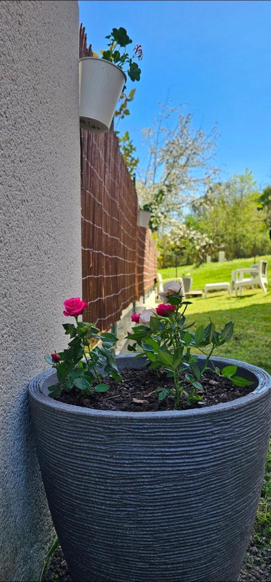 Appartement Lumineux Et Calme En Rez-De-Jardin Castanet-Tolosan エクステリア 写真